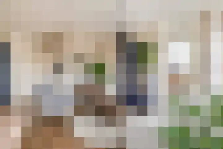 Hommelseweg 257 Arnhem thumbnail 27