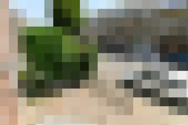 Hommelseweg 257 Arnhem thumbnail 34