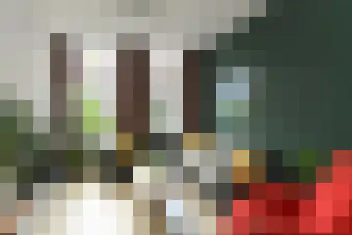 Hommelseweg 257 Arnhem thumbnail 7