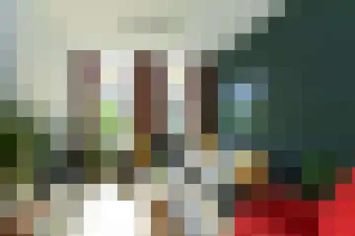 Hommelseweg 257 Arnhem thumbnail 8