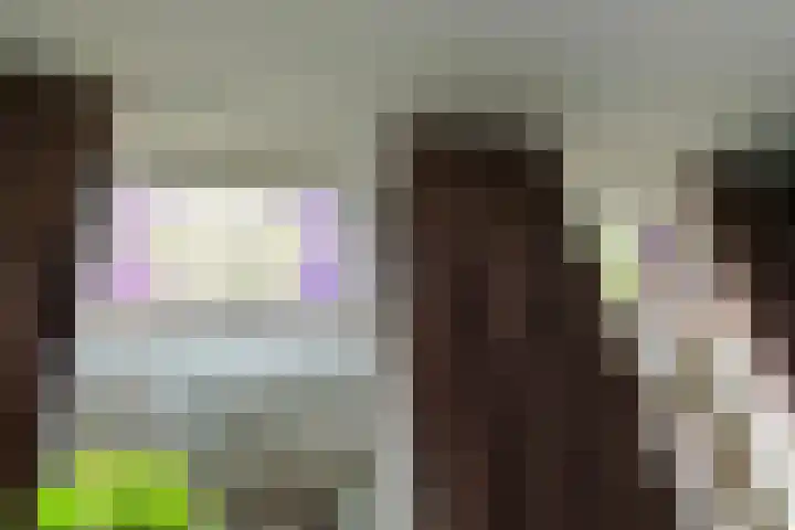 Hommelseweg 257 Arnhem thumbnail 9