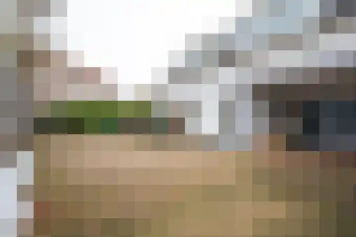 Hommelseweg 286 2 Arnhem thumbnail 13
