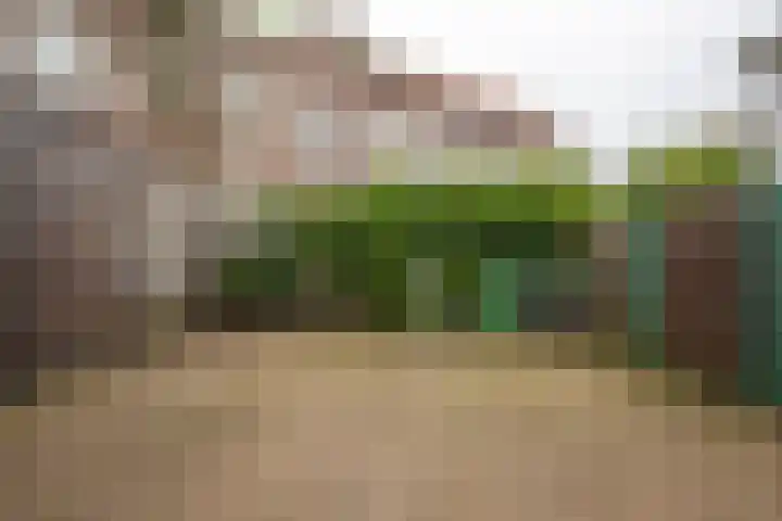 Hommelseweg 286 2 Arnhem thumbnail 14