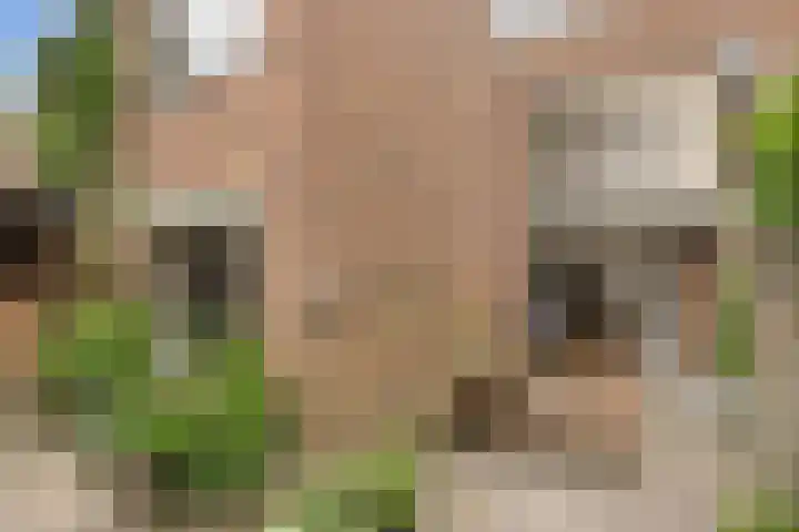Hommelseweg 308 Arnhem thumbnail 35