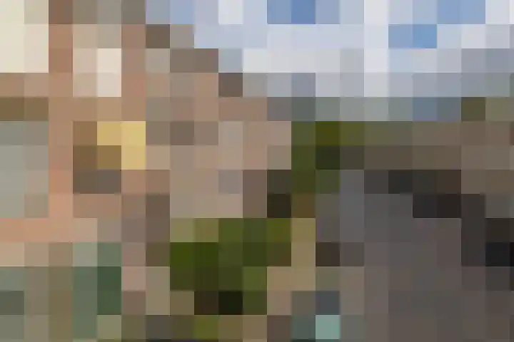 Hommelseweg 325 Arnhem thumbnail 7