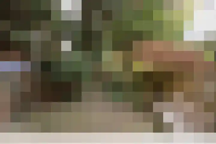 Hommelseweg 327 Arnhem thumbnail 5