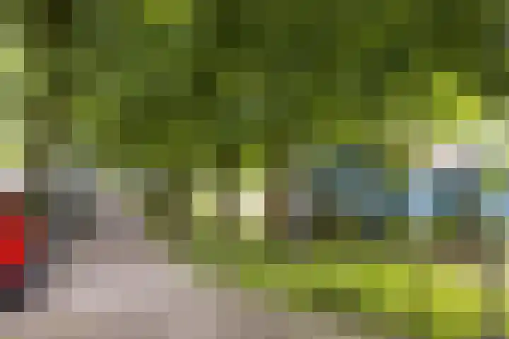 Hommelseweg 338 Arnhem thumbnail 34
