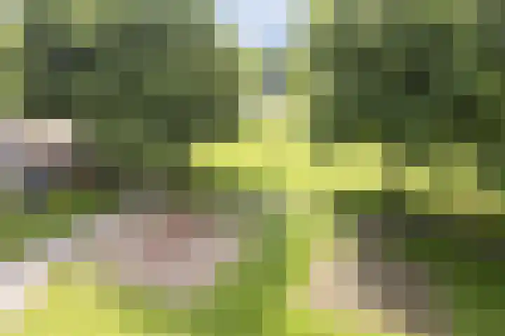 Hommelseweg 338 Arnhem thumbnail 35