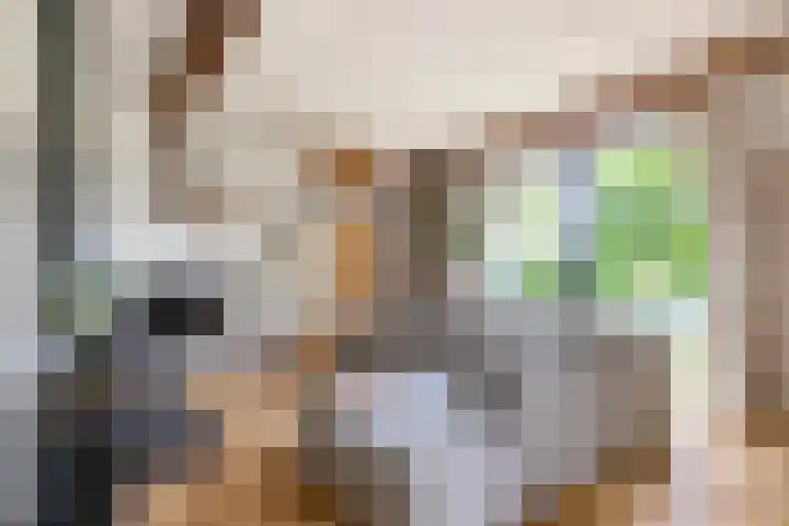 Hommelstraat 3 Empe thumbnail 15