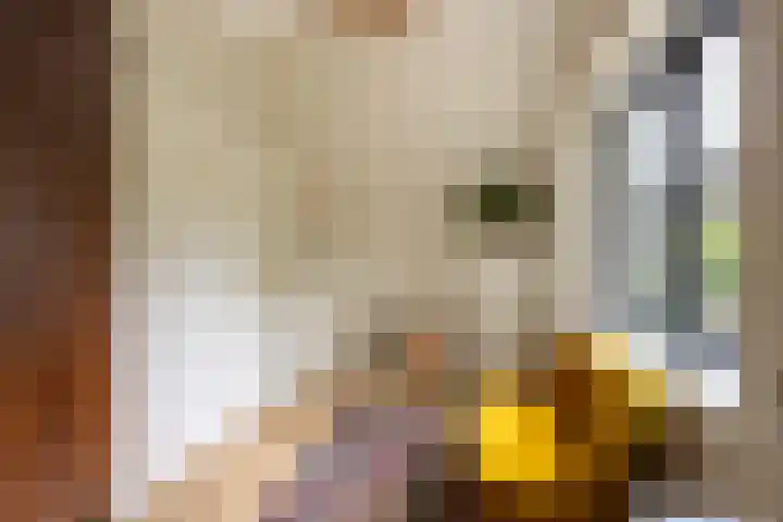 Hommelstraat 3 Empe thumbnail 27