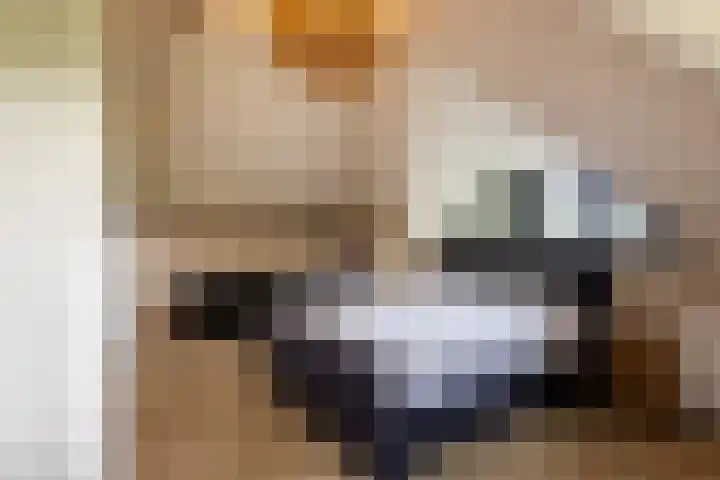 Hommelstraat 3 Empe thumbnail 28