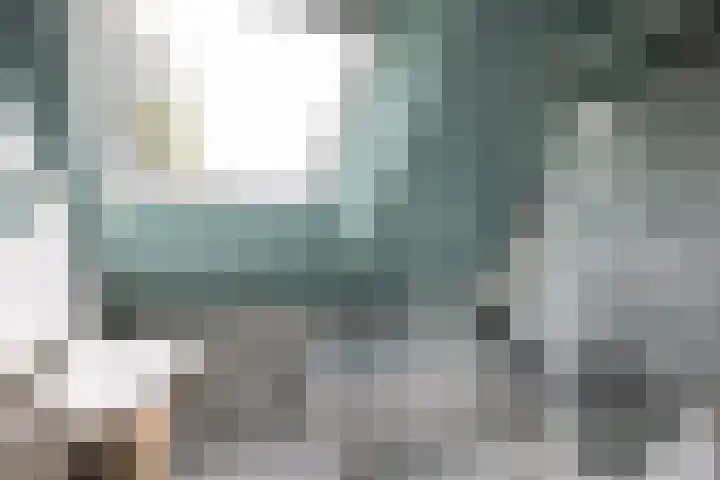 Hommelstraat 3 Empe thumbnail 38