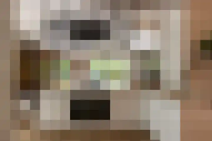 Hommelstraat 3 Empe thumbnail 4