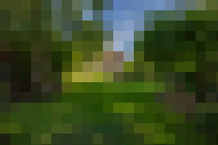 Hommelstraat 3 Empe thumbnail 40
