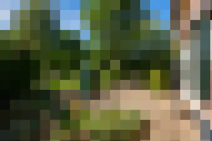Hommelstraat 3 Empe thumbnail 41
