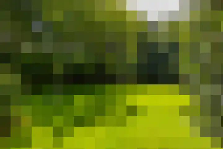 Hommelstraat 3 Empe thumbnail 45