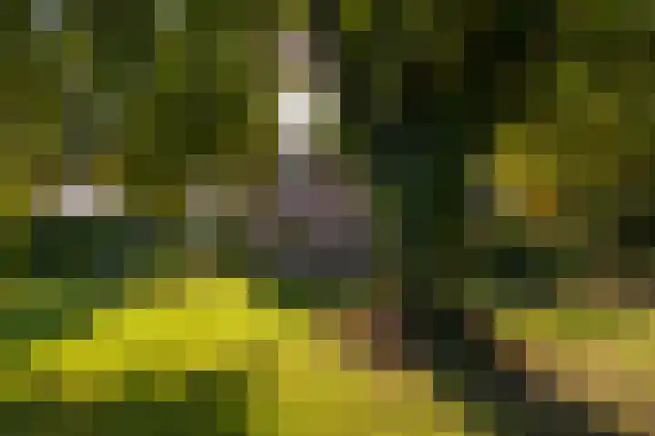 Hommelstraat 3 Empe thumbnail 46
