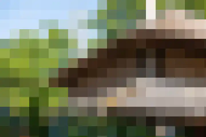 Hommelstraat 3 Empe thumbnail 49