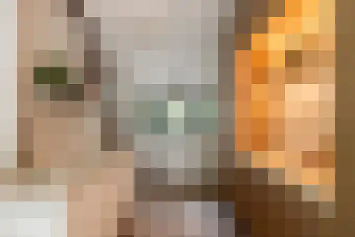 Hommelstraat 3 Empe thumbnail 5