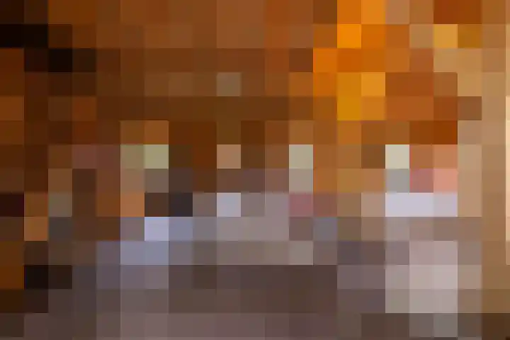 Hommelstraat 3 Empe thumbnail 54