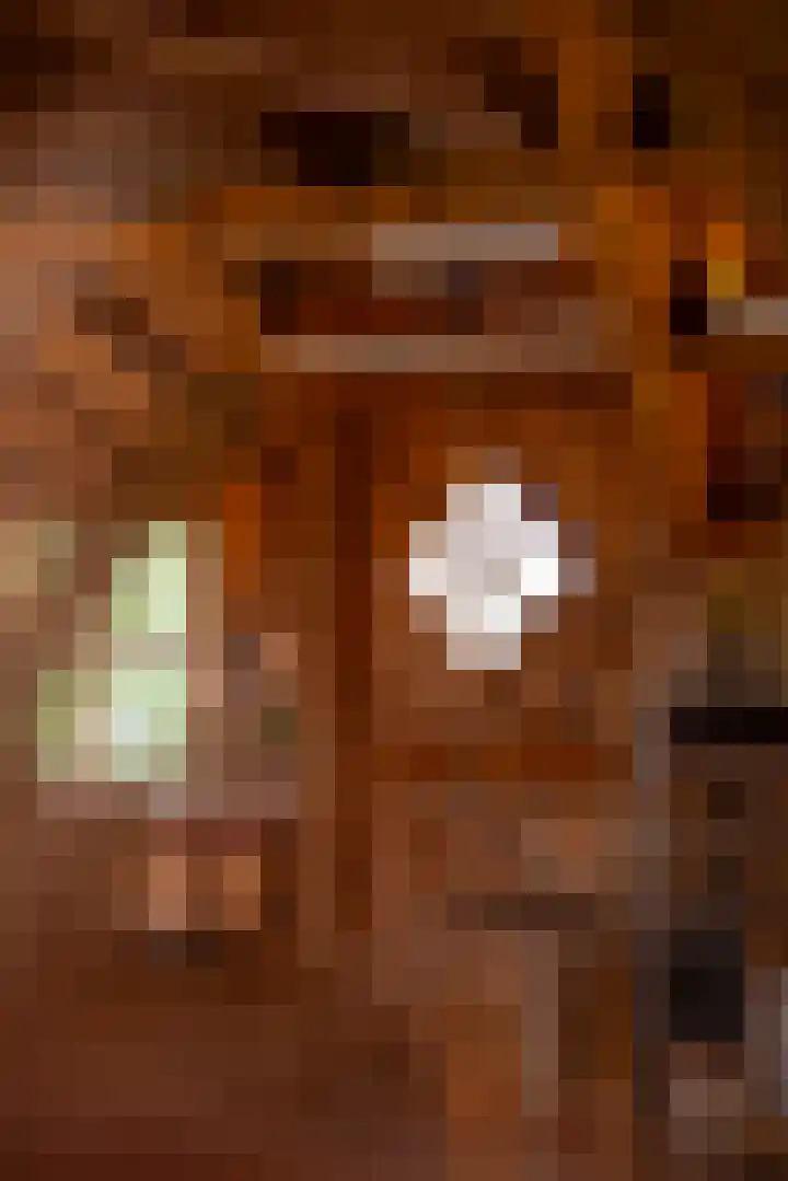 Hommelstraat 3 Empe thumbnail 55