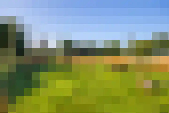 Hommelstraat 3 Empe thumbnail 57