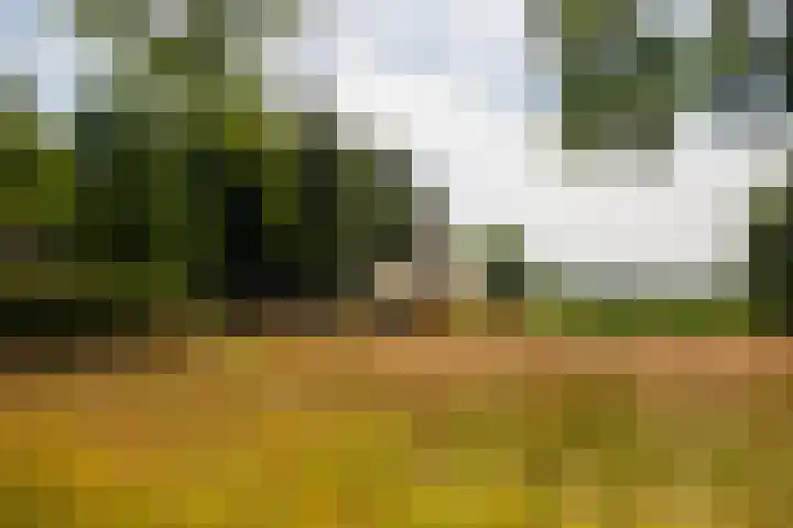 Hommelstraat 3 Empe thumbnail 58