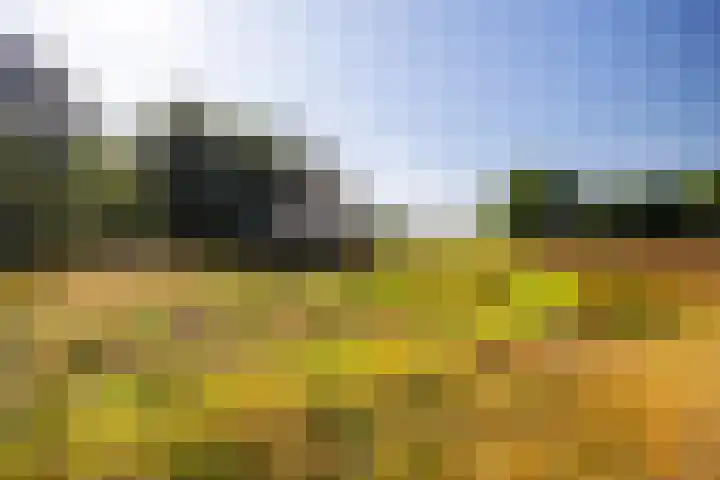 Hommelstraat 3 Empe thumbnail 59