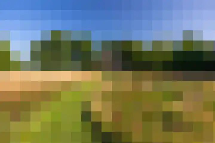 Hommelstraat 3 Empe thumbnail 62