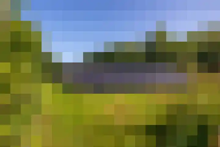 Hommelstraat 3 Empe thumbnail 64
