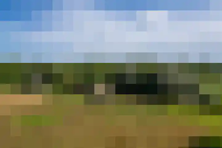 Hommelstraat 3 Empe thumbnail 66