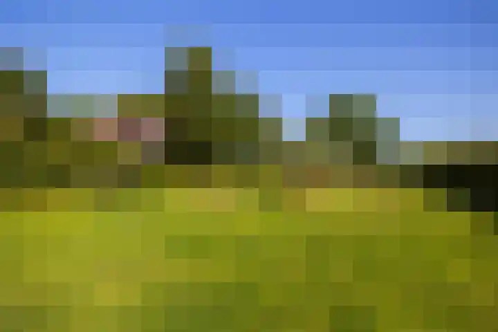 Hommelstraat 3 Empe thumbnail 67