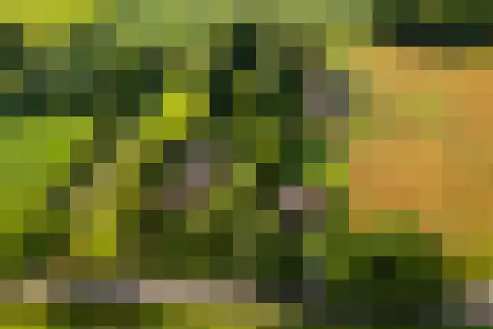 Hommelstraat 3 Empe thumbnail 69