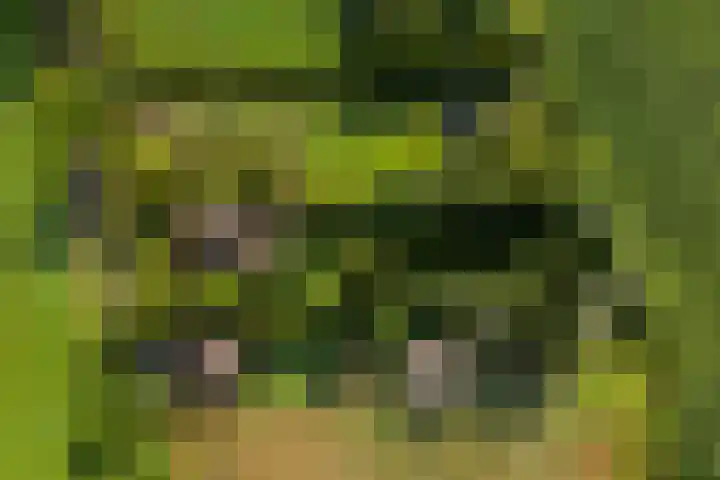 Hommelstraat 3 Empe thumbnail 71