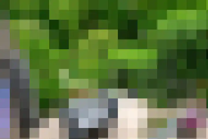 Hommelveld 30 Leiden thumbnail 15