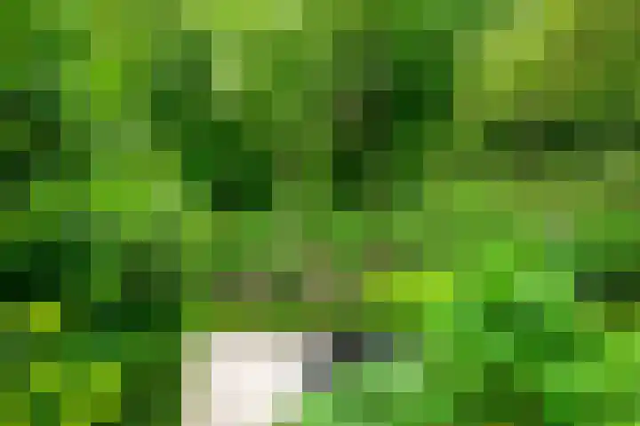 Hommelveld 30 Leiden thumbnail 17