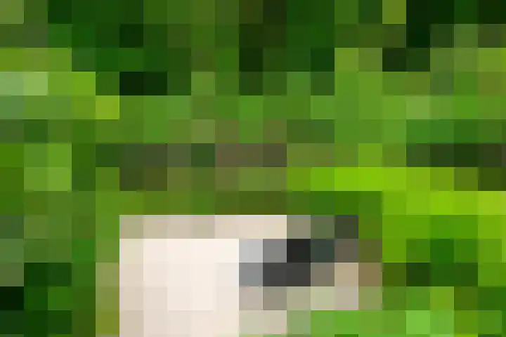 Hommelveld 30 Leiden thumbnail 18