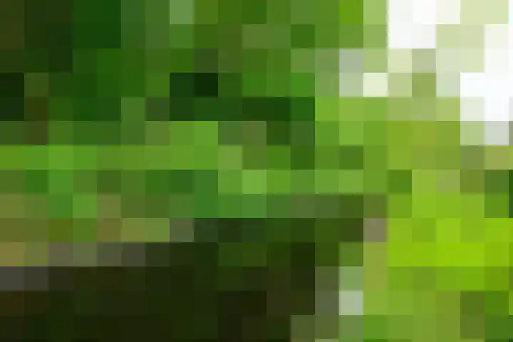 Hommelveld 30 Leiden thumbnail 19