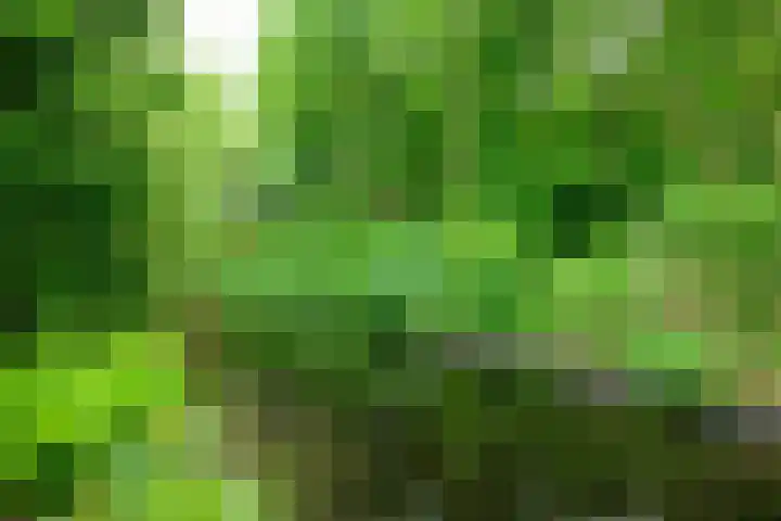 Hommelveld 30 Leiden thumbnail 20