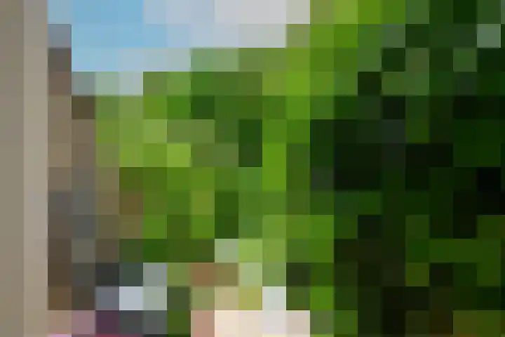 Hommelveld 30 Leiden thumbnail 21