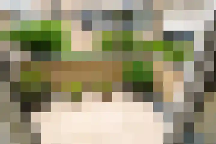 Hommelveld 30 Leiden thumbnail 27
