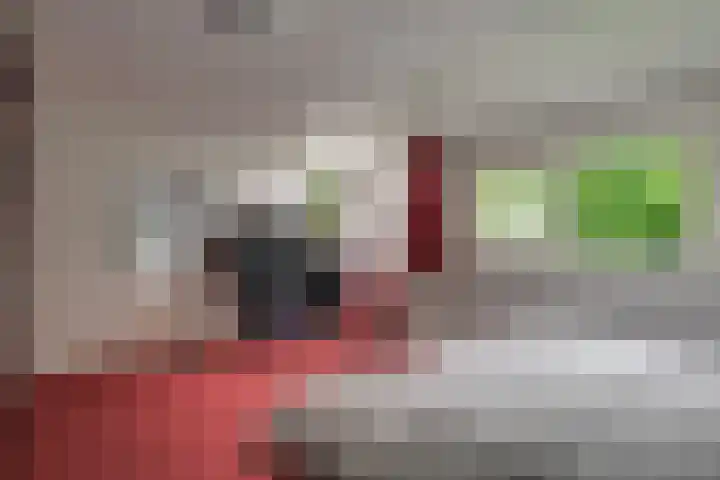 Hommelveld 30 Leiden thumbnail 32