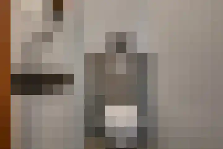 Hommelveld 30 Leiden thumbnail 7