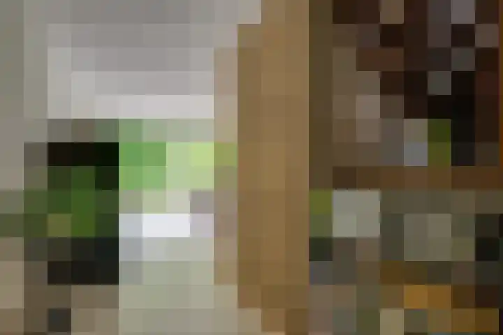 Hommelveld 30 Leiden thumbnail 8