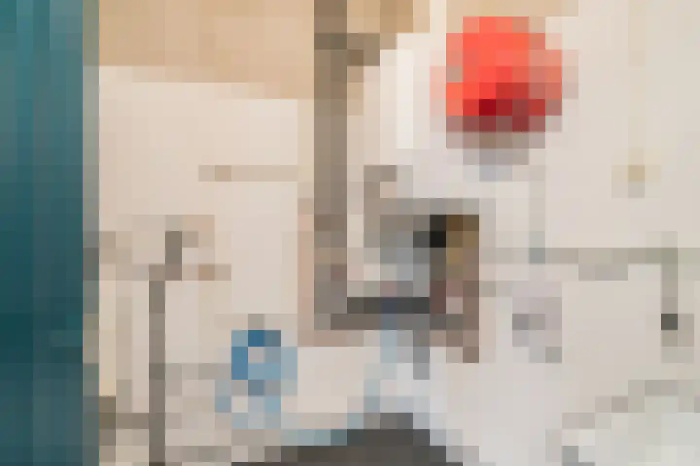 Hondevoort 6 Eibergen thumbnail 43