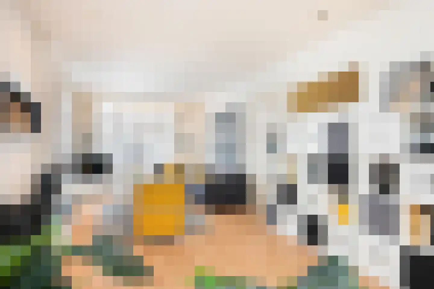 Hondevoort 6 Eibergen thumbnail 8
