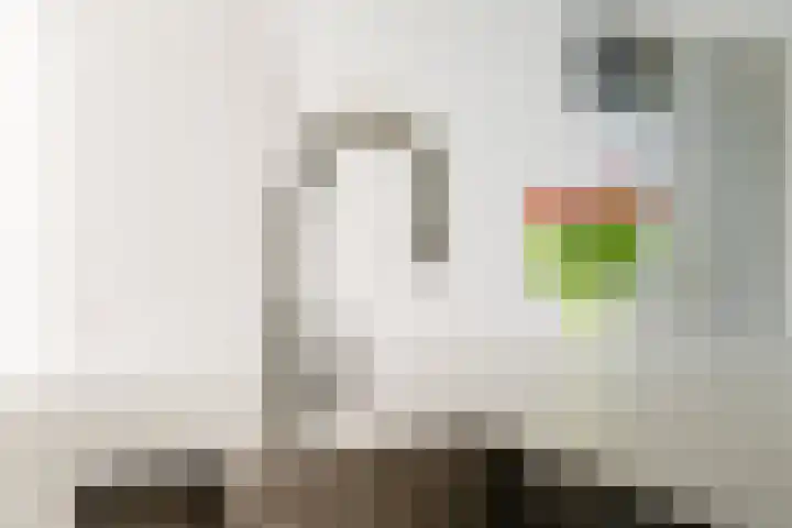 Hondsdonk 59 Breda thumbnail 11