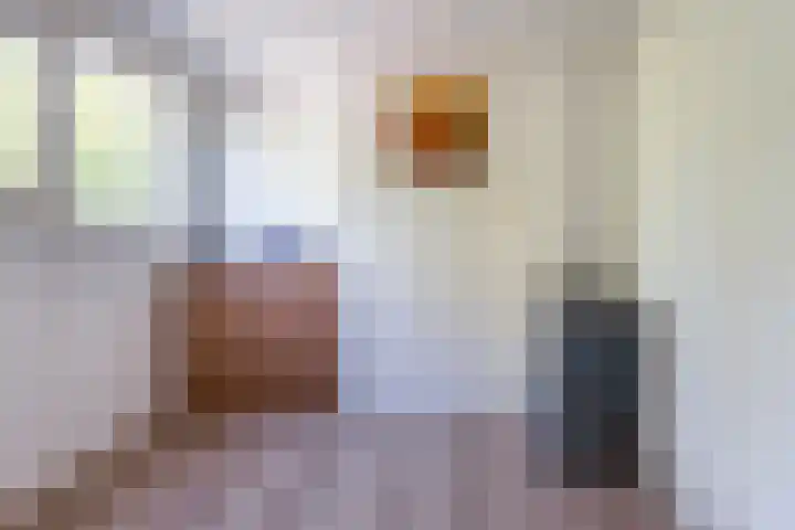 Hondsdonk 59 Breda thumbnail 30