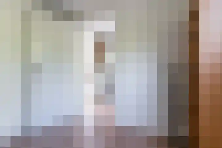 Hondsdonk 59 Breda thumbnail 31