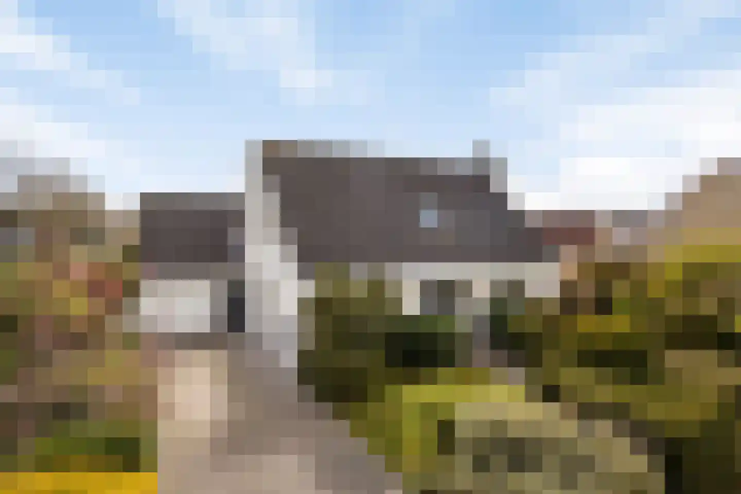 Hondsdraf 1 in Grootegast